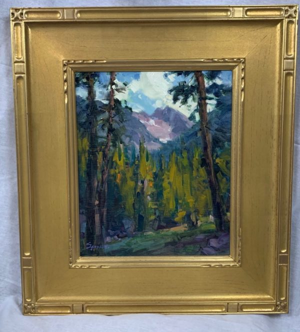 Northwest Mountain Scene
