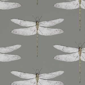 Demoiselle Wallpaper