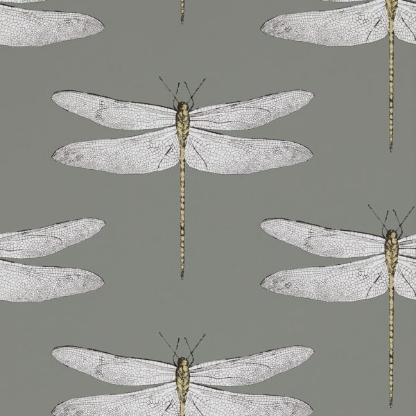 Demoiselle Wallpaper