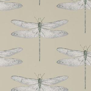 Demoiselle Wallpaper
