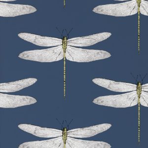Demoiselle Wallpaper