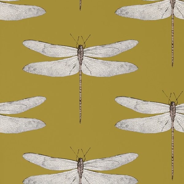 Demoiselle Wallpaper